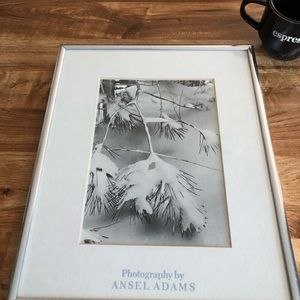 ANSEL ADAMS WINTER LEAVES PHOTO